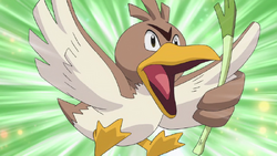 Pokémon: Kantonian Vs. Galarian Farfetch'd - Which Is Better?