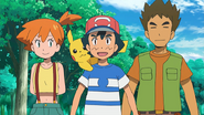 Brock (Reunited with Ash and Misty)