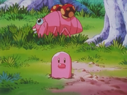 Pink Diglett 2