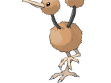 Doduo