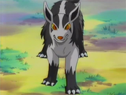 Mightyena