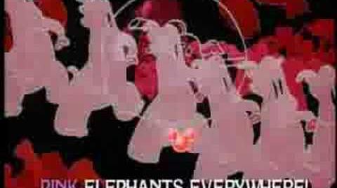 ELEPHANTS EVERYWHERE - Lyrics, Playlists & Videos