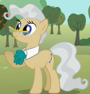 Mayor Mare