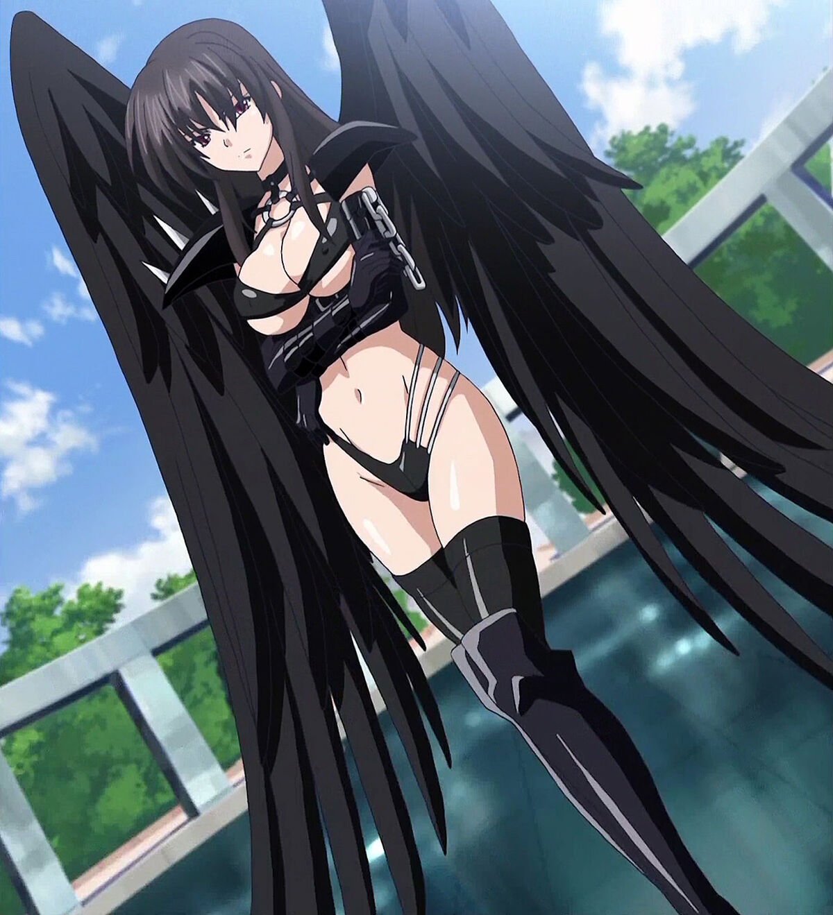 The boobs of fallen angels: A High School DxD review