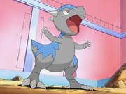 Roark Cranidos