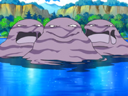 Lake Psyduck Muk