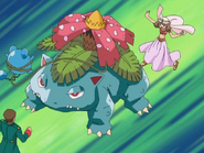 May Venusaur