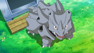 Rhyhorn