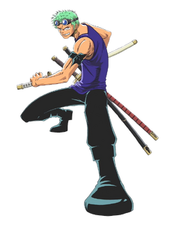 Zoro D. Explorer