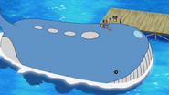 Wailord