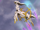 Arceus