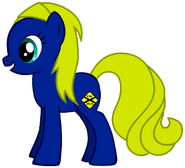 Pip's Pony Form