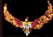 Mystic Firebird