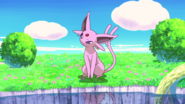 Espeon Eevee Friends