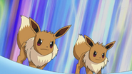 Eevee's Double Team