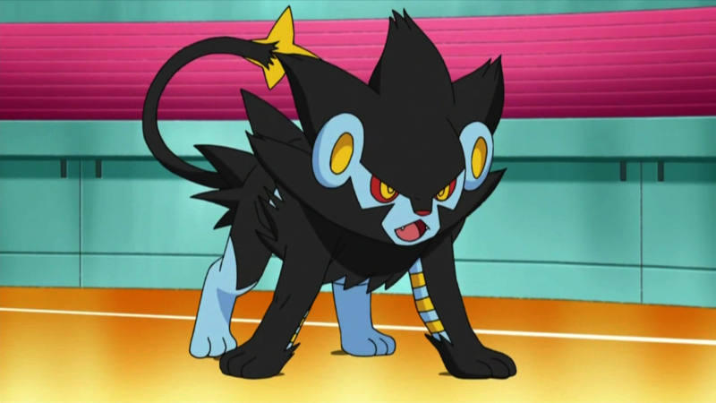 A Saga Vini: Amanhecer - Imagem e Som Filé on X: Pokécember dia 08  Favorito do tipo Elétrico: Luxray #PokécemberVDT #Pokémon   / X