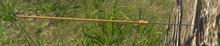 Old Empire Pila Ingame.png