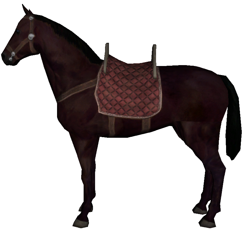 warband horses in inventory