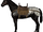 Dark Steppe Horse