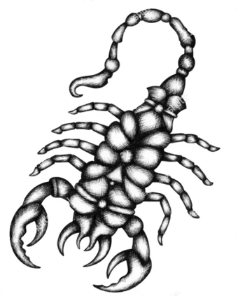 Order Of The Scorpion Assassins Prophesy Of Pendor 3 Wiki Fandom