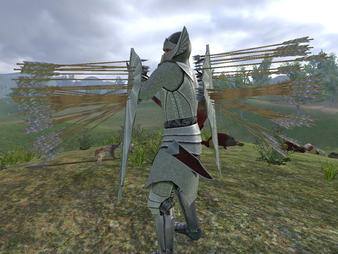 mount and blade shields