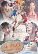 Rental DVD Cover