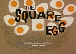 SquareEgg.jpg