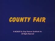 County fair.jpg