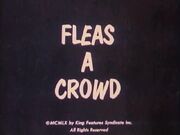 Fleas crowd.jpg