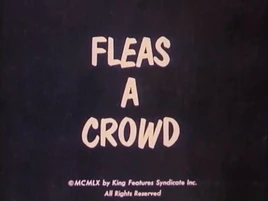 Fleas crowd