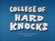 College.jpg