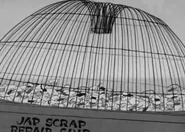 Scrap the Japs-09.jpg (47 KB) Japanese caged like rats