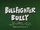 Bullfighter Bully