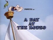 ADayAtTheRodeo-01