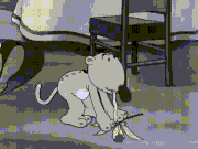 Eugene eats an Orchid