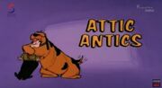 Attic Antics-01.jpg