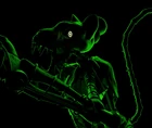 Epitome Popgoes in green light.