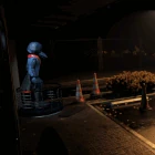 Example of how Stone turns in his birdcage.