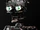Endoskeleton