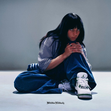 Billie eilish jordan 11 discount