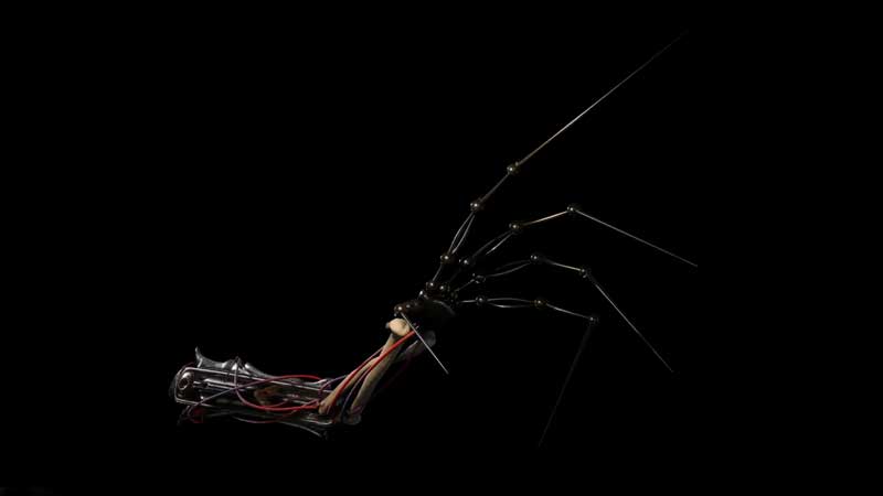 Prototype | Poppy Playtime вики | Fandom