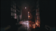 Daydog Jumpscares