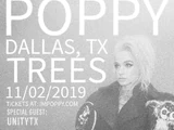 11/2/19 at Trees
