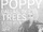 11/2/19 at Trees