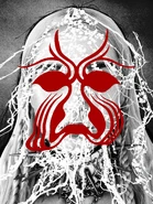 LEGUME LORD KABUKI POPPY - RED, 2019 by Jesse Draxler ($450.00 USD)