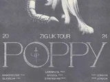 Zig Tour