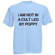 I AM NOT IN A CULT T-SHIRT ($25.00 USD)