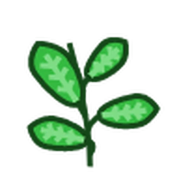 Tea Leaves | The Unofficial Poppy Seed Pets Wiki | Fandom