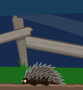 The porcupines.