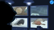 Watching the player through cameras